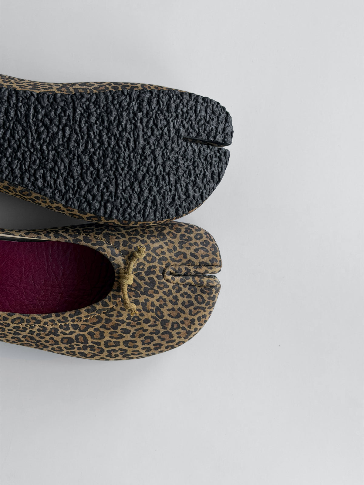 Guaricha Leopard