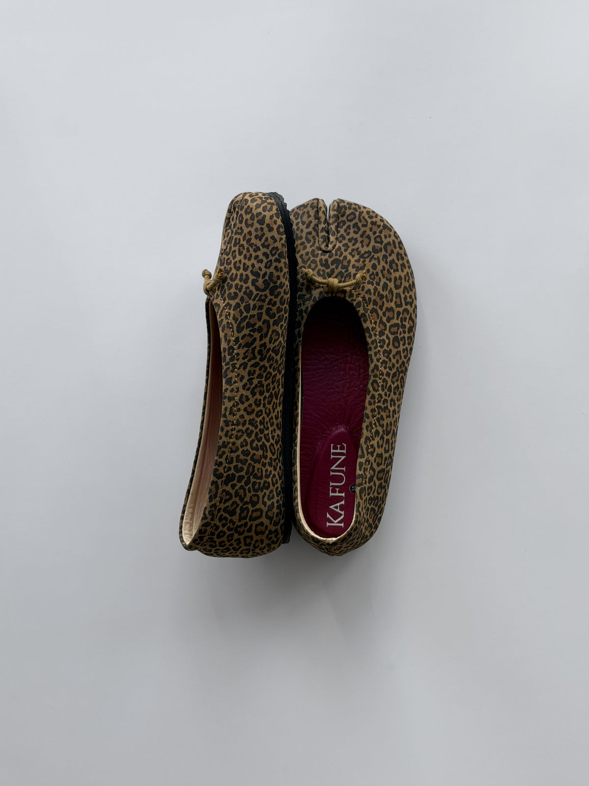 Guaricha Leopard